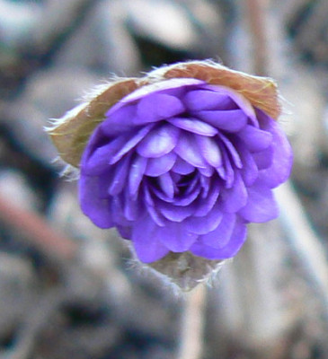 Ladislav_090318_a.jpg