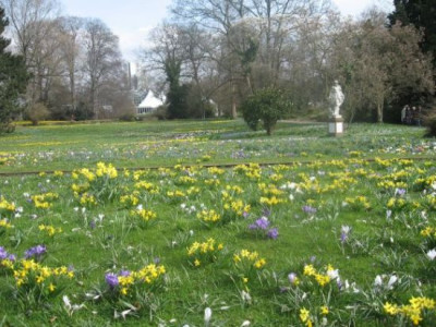Palmengarten_2008.jpg