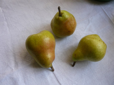 Birne-Bon-Chretien.jpg