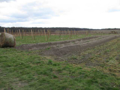 K640_IMG_0344.JPG