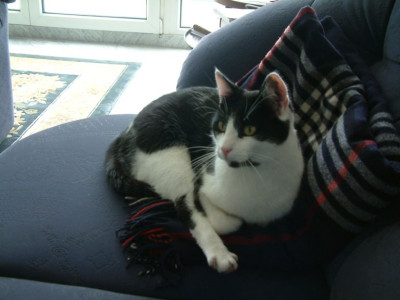 DSCF0019.jpg
