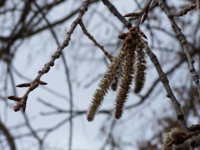 100_6958.JPG