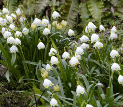 K800_21.03.2009_088.JPG