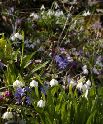K800_21.03.2009_064.JPG