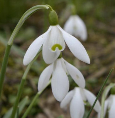 K800_21.03.2009_086.JPG