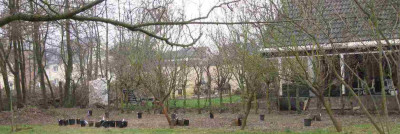 Lambert_garten_nach_Rodung_IMG_1498.jpg