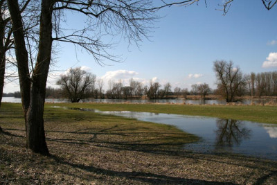 Donauland-2.Versuch.jpg