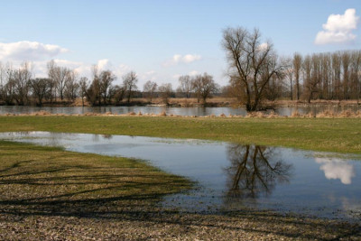Donauland-Versuch-4.jpg