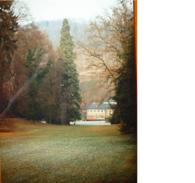 sequoia_Furstenlager_2.jpg