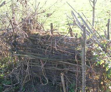 Kompostplatz.jpg