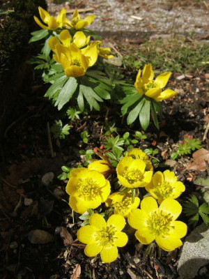 DSCF6723.JPG