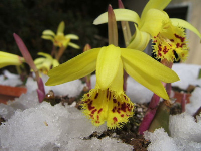 DSCF6668.JPG