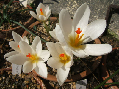 DSCF6689.JPG