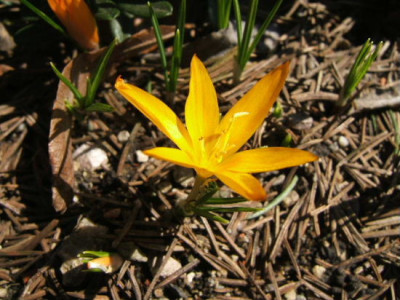 DSCF6700.JPG