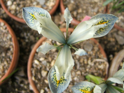 DSCF6678.JPG
