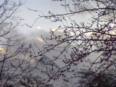 K640_23032009490.JPG
