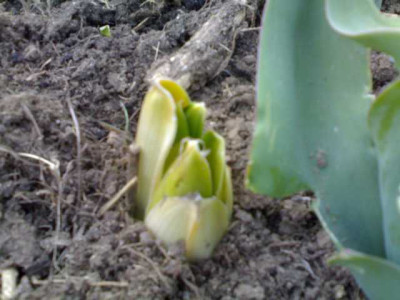 K640_23032009491.JPG