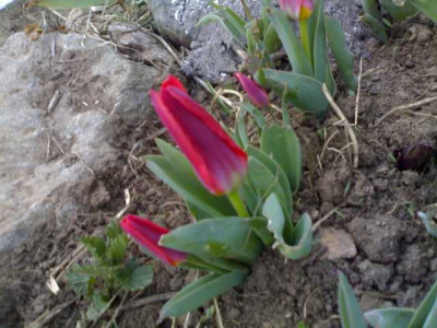 K640_23032009492.JPG