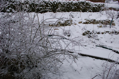 Endlich_Schnee_0010__3215.jpg