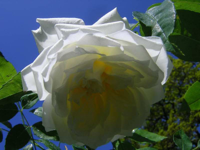 DSCN1679b.jpg