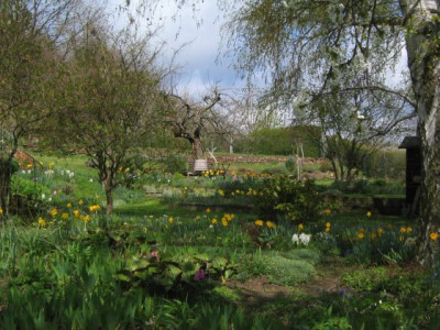 Garteneinblick01.jpg