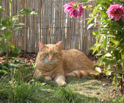 gartenflauschi_01.jpg