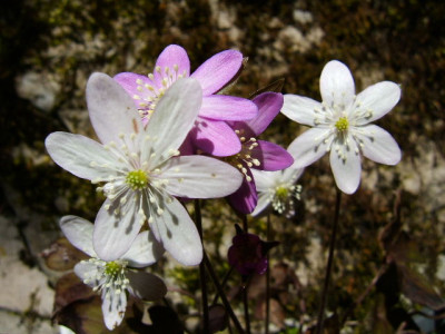 DSCF2092.JPG