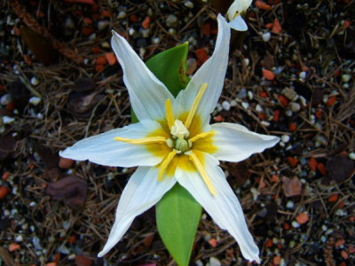 DSCF2161.JPG