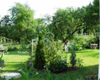 Garten_sud.JPG