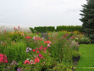 k-IMG_1196.jpg