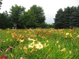 k-IMG_1204.jpg