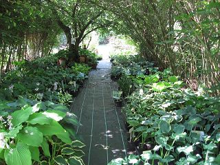 k-IMG_1121.jpg