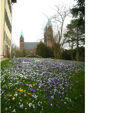 Schlopark_BH_1.jpg