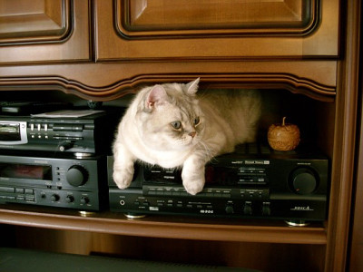neue_hifi_komponente_2009-03-21_249.jpg