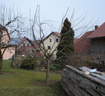 Kopie_von_DSC01221.JPG