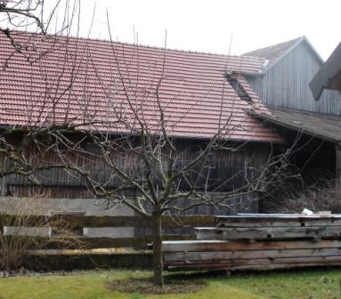 Kopie_von_DSC01223.JPG