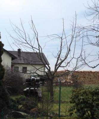 Kopie_von_DSC01224.JPG