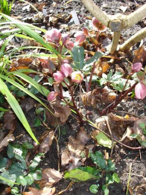Groenanderung_Drehen_von_Marz_2009_041.jpg