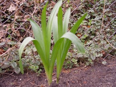 DSC00072.JPG