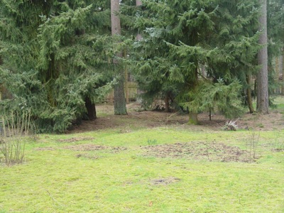 DSC00034.JPG