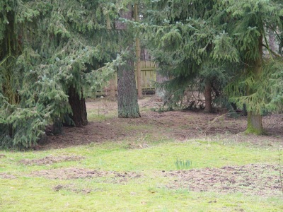 DSC00035.JPG