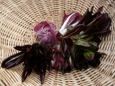 ernte_090330.JPG