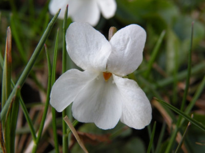Kopie_von_DSCN0303.JPG
