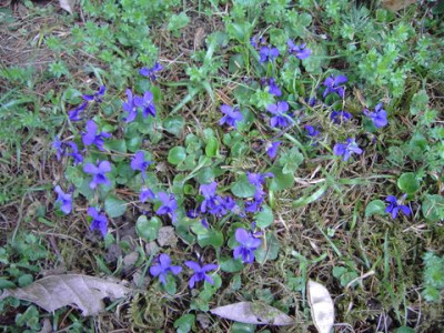 PICT1609.JPG