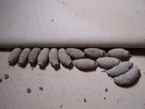 100_6992.JPG