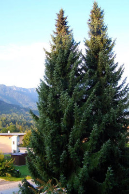 Suchbild.jpg