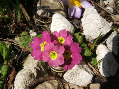 DSCF6802.JPG