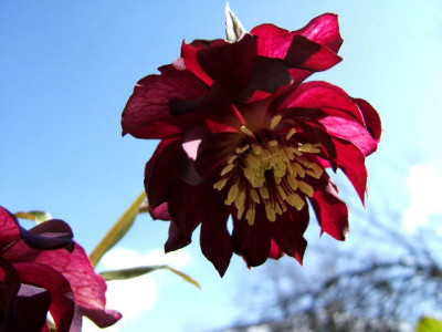 DSCF6955.JPG