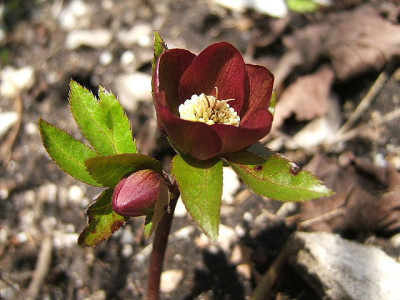 DSCF6890.JPG