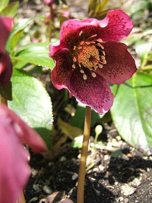 DSCF6891.JPG